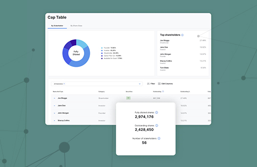 Cap table screenshot